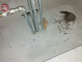 惠安卫生间测漏水价格明细