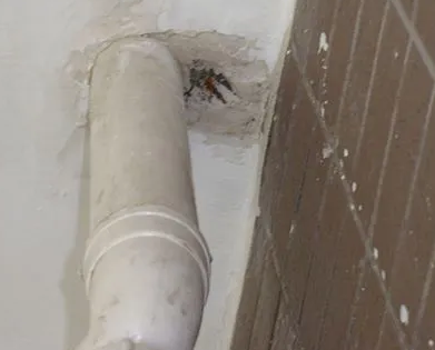 惠安漏水检测哪家好